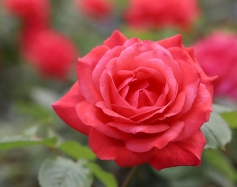 xe ba gác xe tải chở hàng bình dương