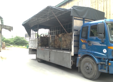 Vận chuyển hàng liên tỉnh toàn quốc